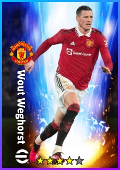 Wout Weghorst