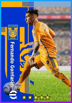 Fernando Gorriarán