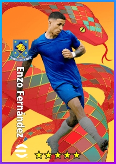 恩佐·费尔南德斯