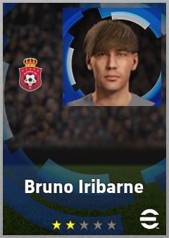 Bruno Iribarne