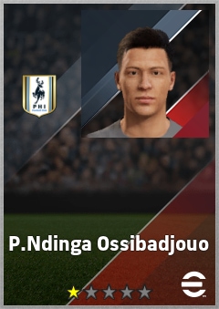 P.Ndinga Ossibadjouo