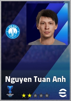 Nguyen Tuan Anh