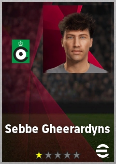 Sebbe Gheerardyns