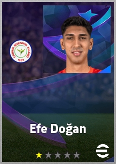 Efe Doğan