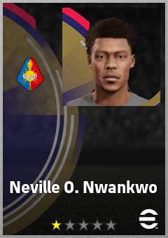 Neville O. Nwankwo