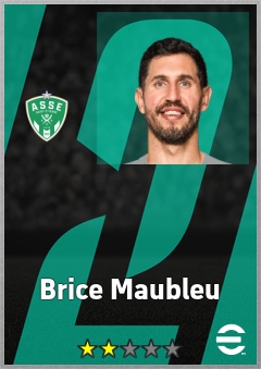 Brice Maubleu